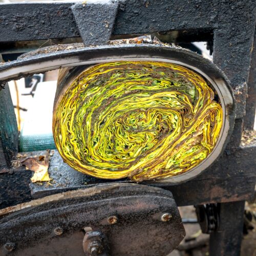 pexels-quang-nguyen-vinh-6713017