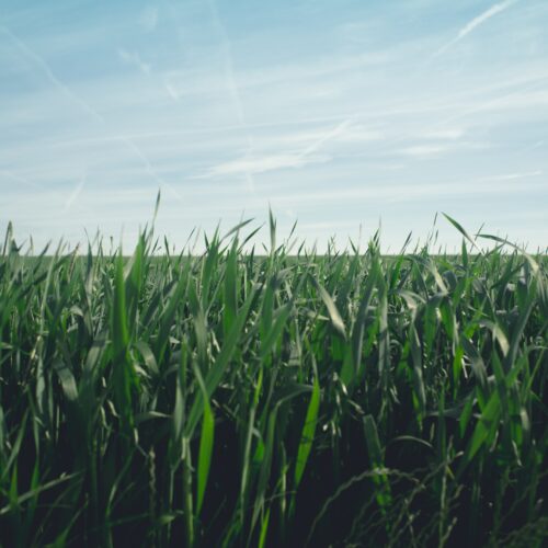 glenn-carstens-peters-DYZ4ZxkTEkU-unsplash